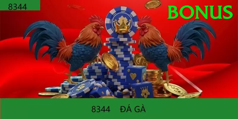 Đá Gà Trực Tiếp - Trải nghiệm tuyệt vời - Raid