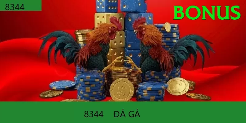 Đá Gà Trực Tiếp - Ưu đãi đặc biệt - Không lag